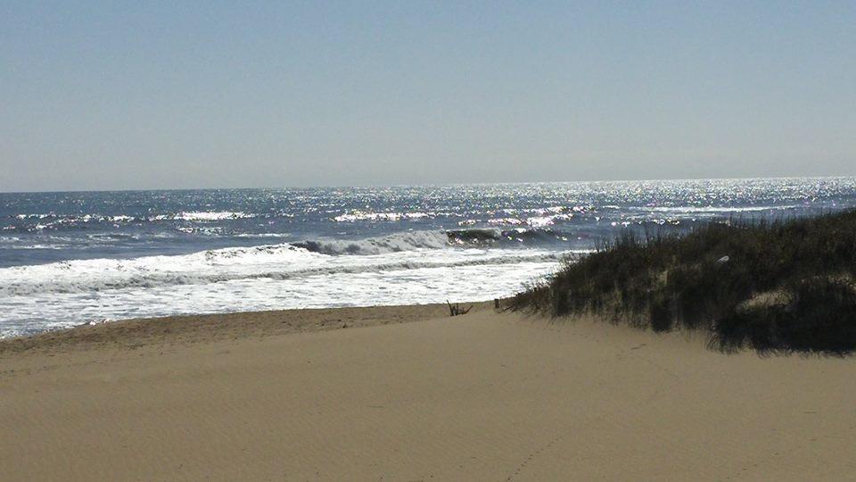 Outer Banks Motor Lodge Kill Devil Hills Eksteriør bilde